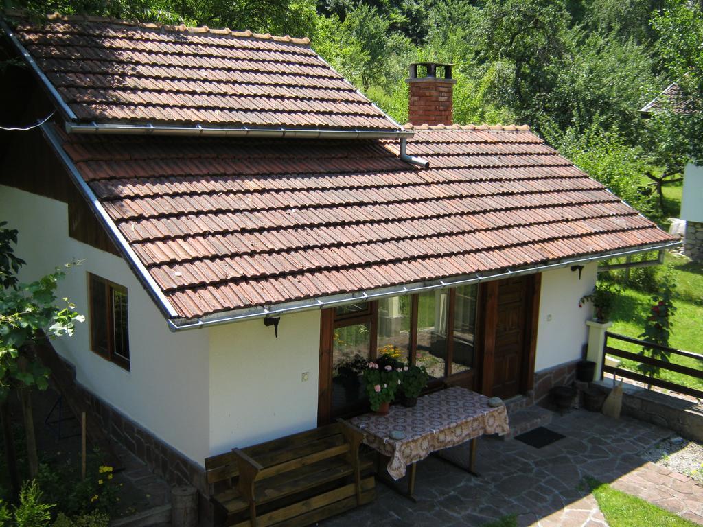 Villa Lalka Ribarica Extérieur photo