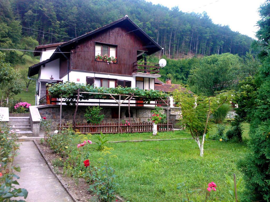 Villa Lalka Ribarica Extérieur photo