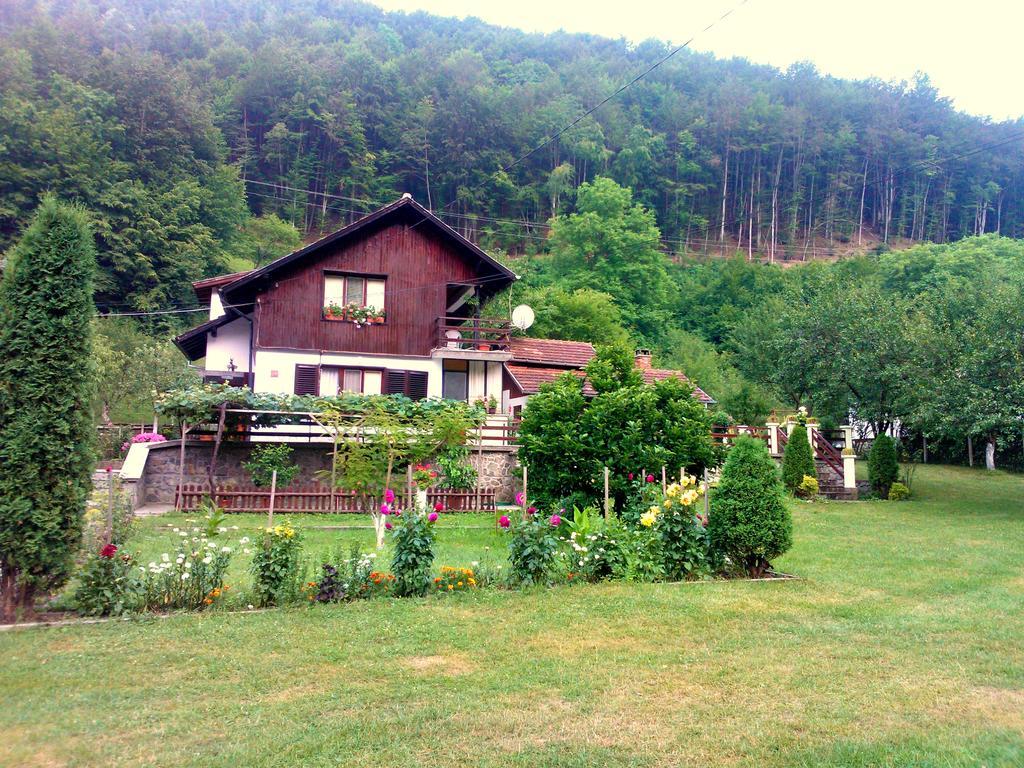 Villa Lalka Ribarica Extérieur photo